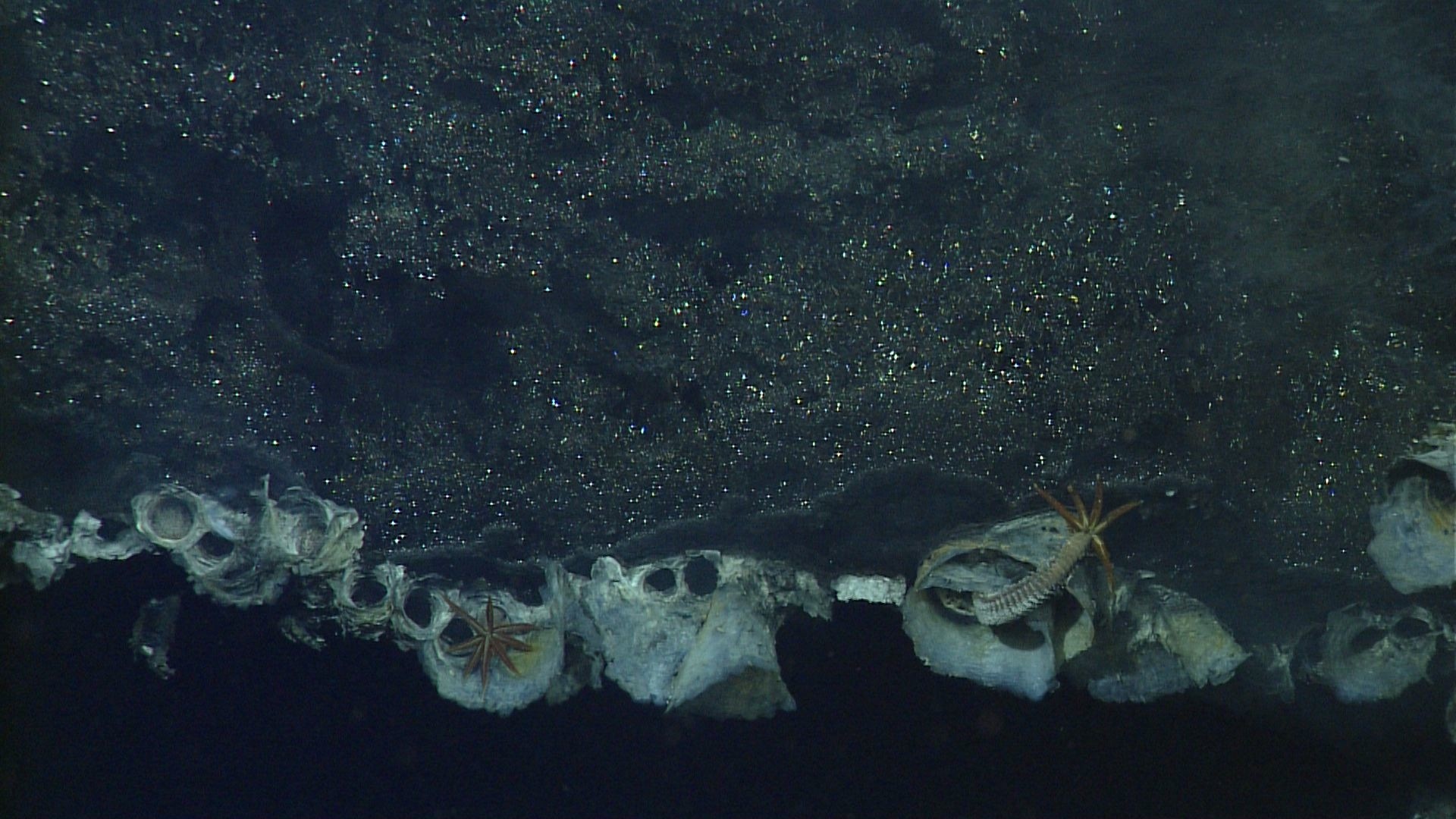 Large flange with an upside-down reflecting pool of hot water, with tube-dwelling Alvinellid polychaetes all around the rim under a volcano.