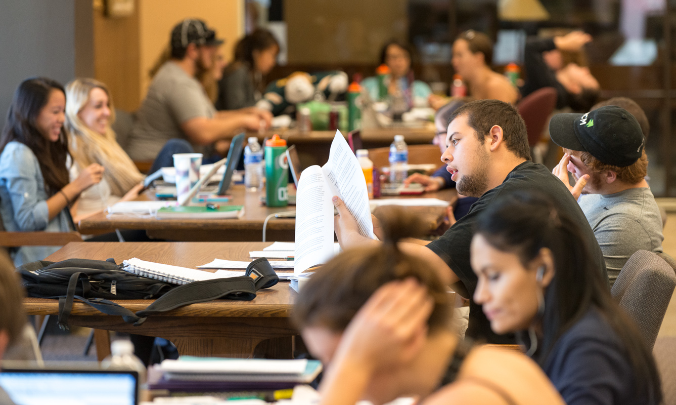 Students studying in the library