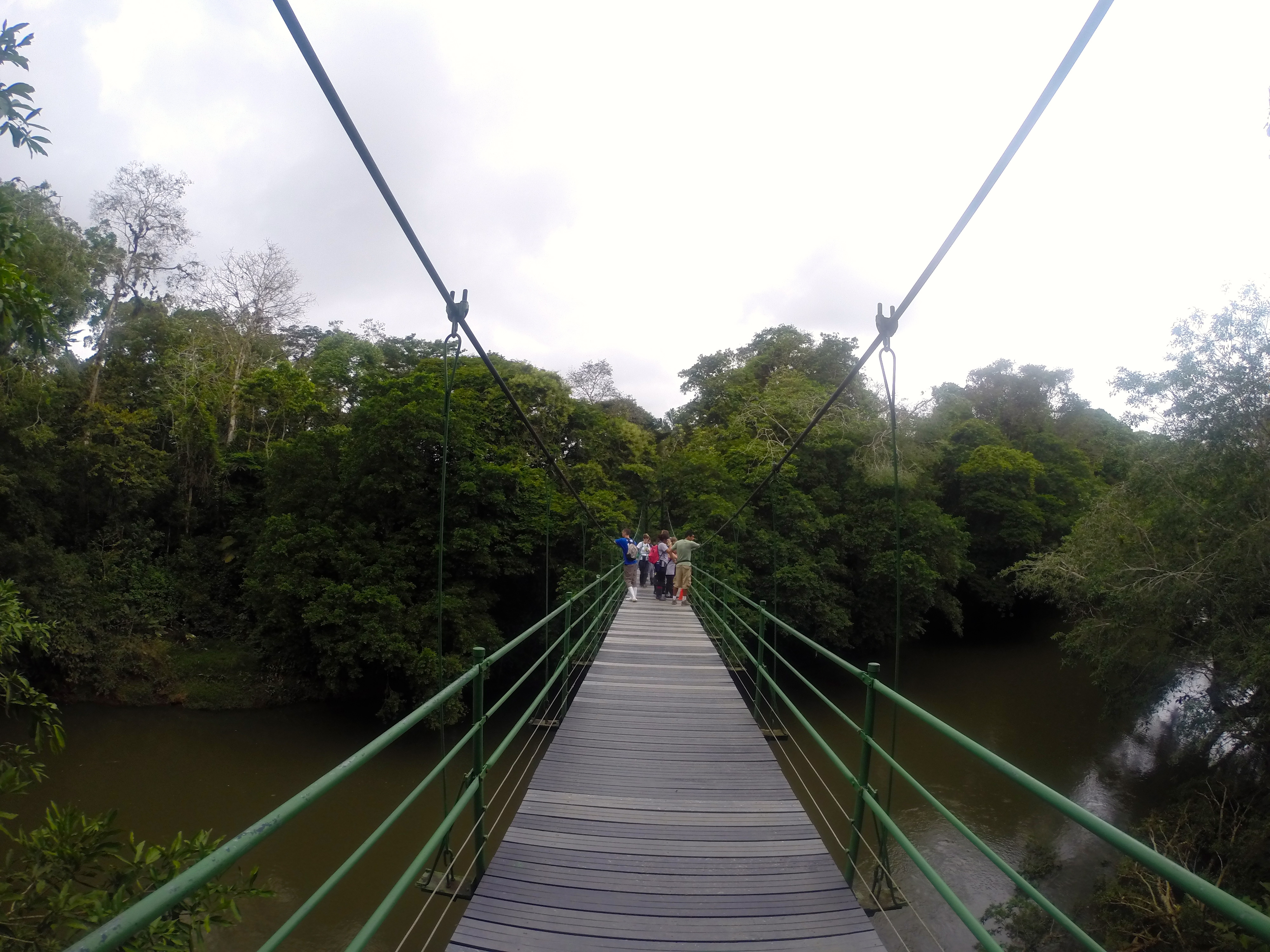 Image for May 23, 2014 - La Selva Biological Station