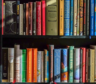 Reception: Honoring faculty who have received grants/fellowships Bookshelf