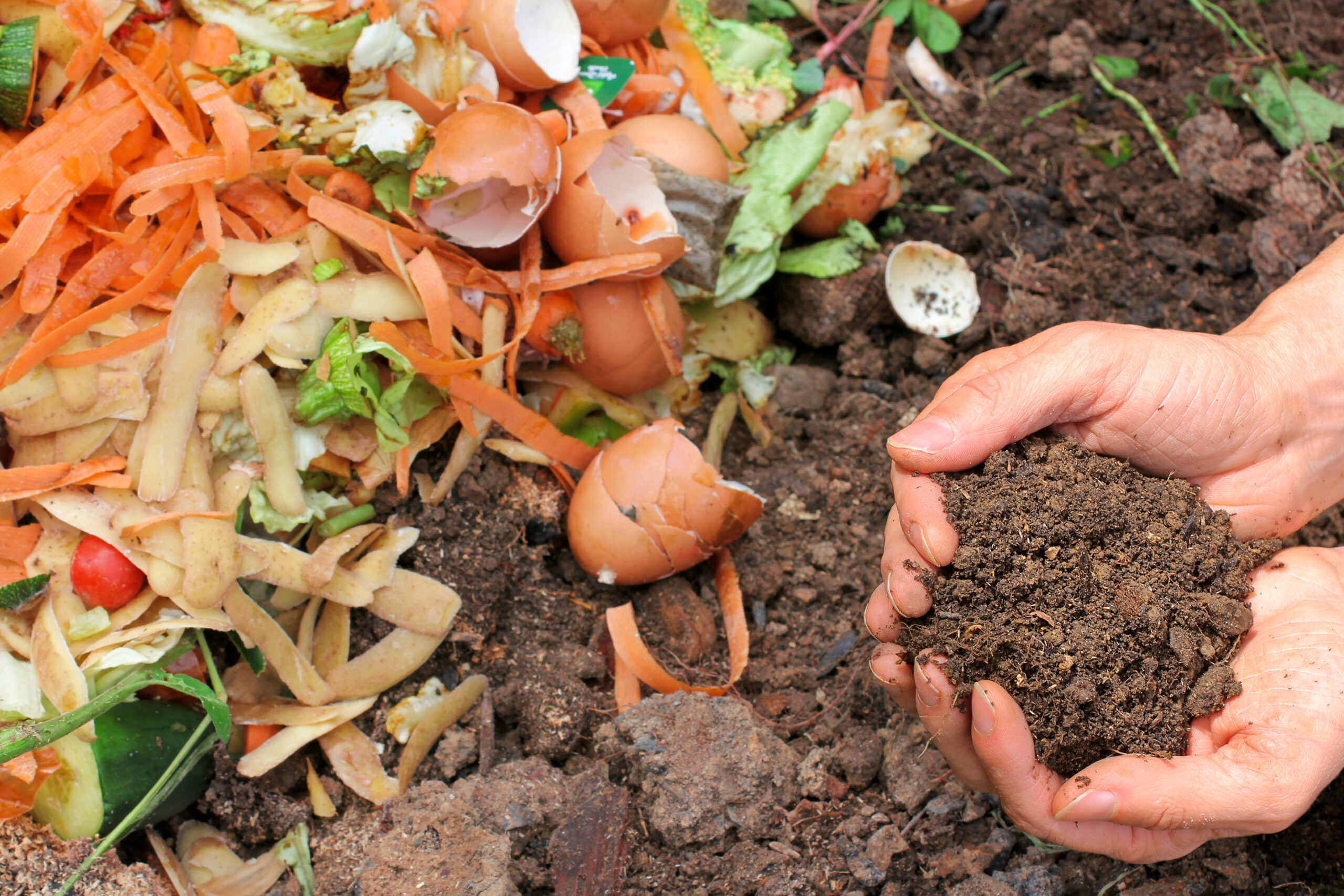 a colorful photo of food in a compost bin