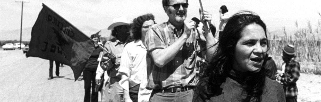 Dolores Huerta image