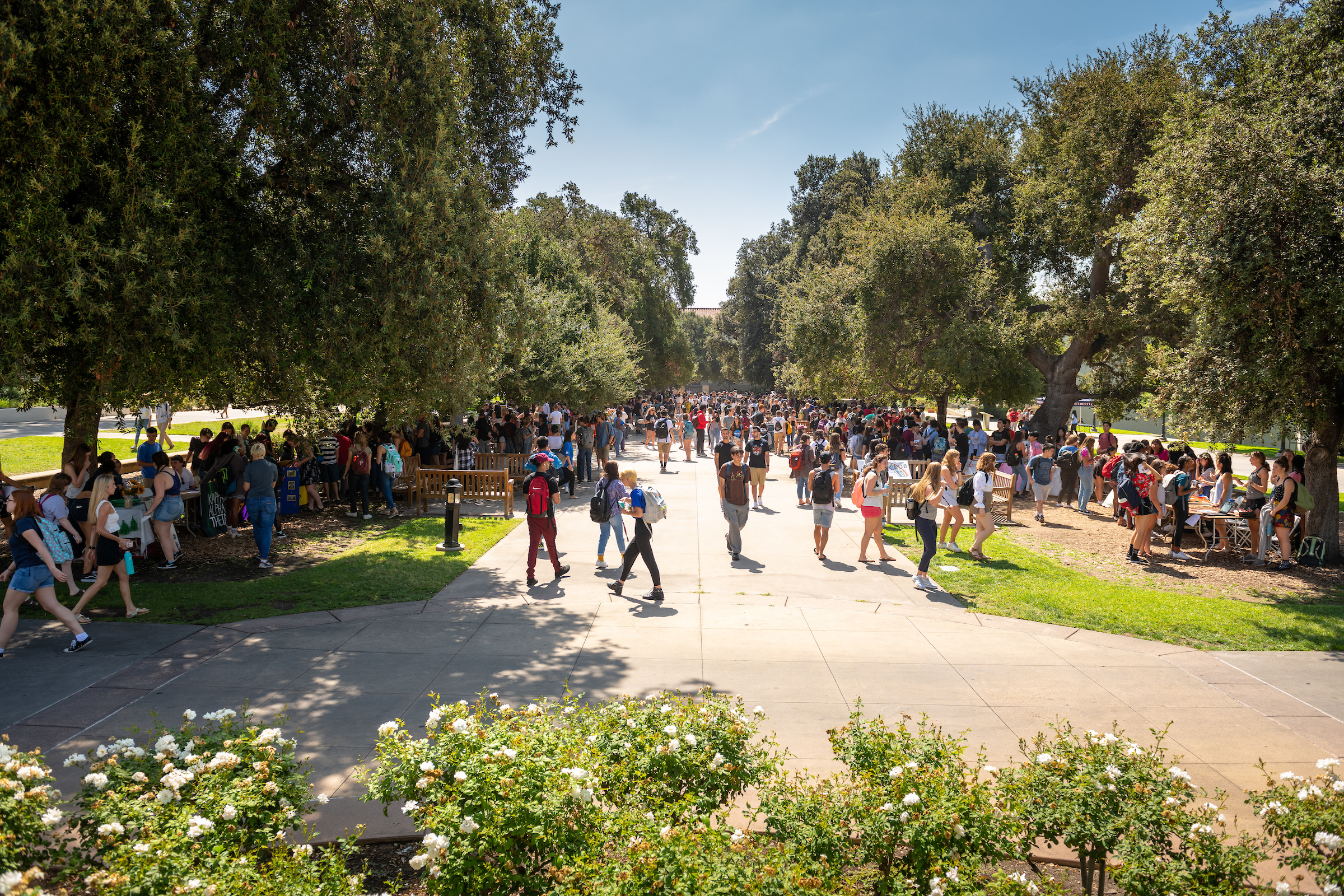 Occidental College Academic Quad 