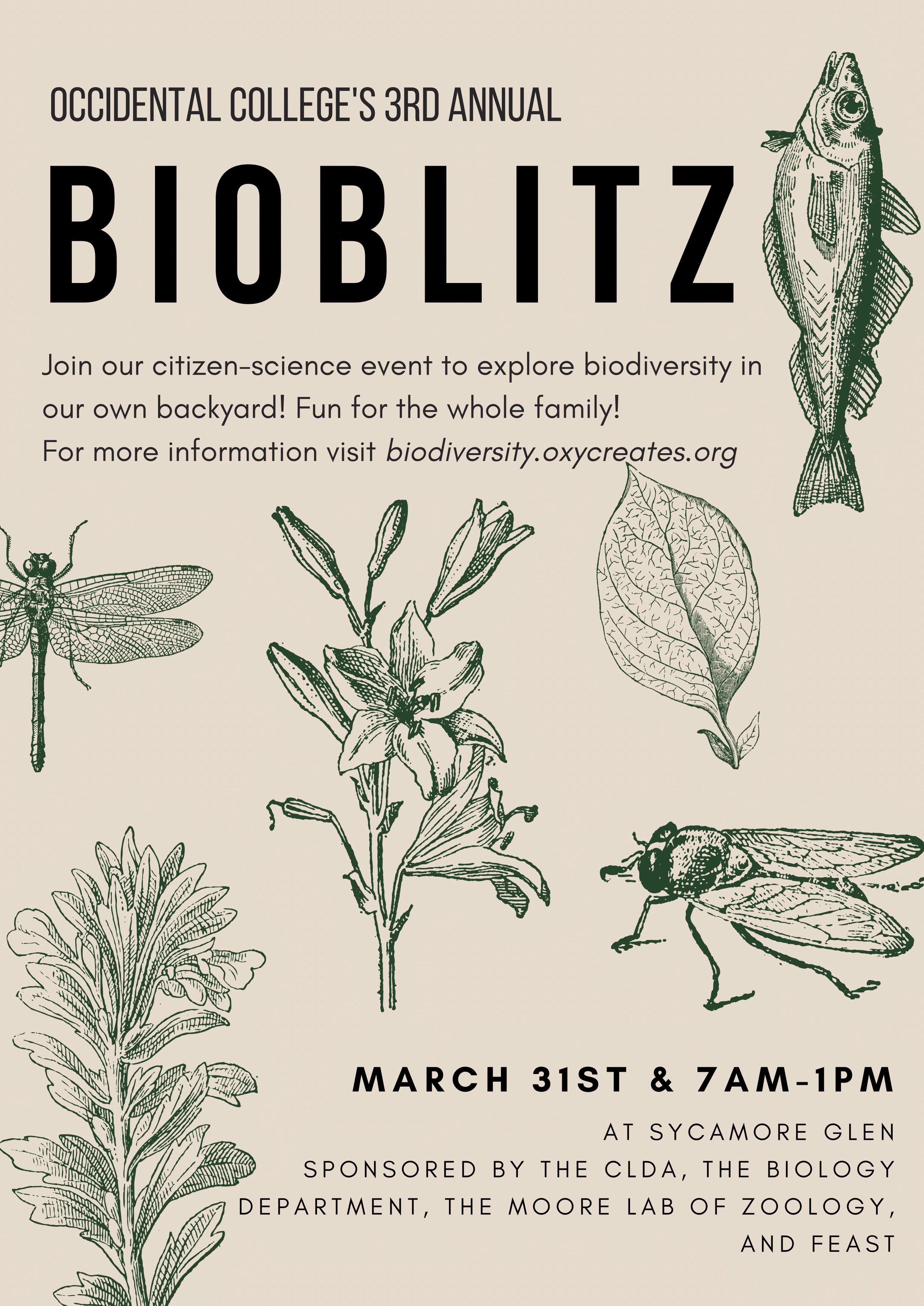 Image for BioBlitz Event