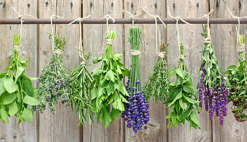 Green plants hung with beige twine in front of a brown wooden panel