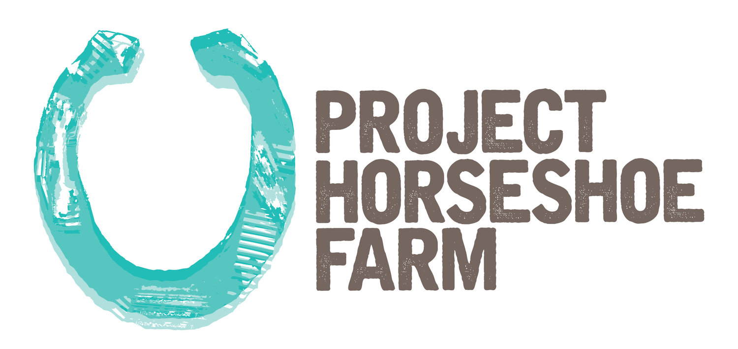 Project Horseshoe Farm