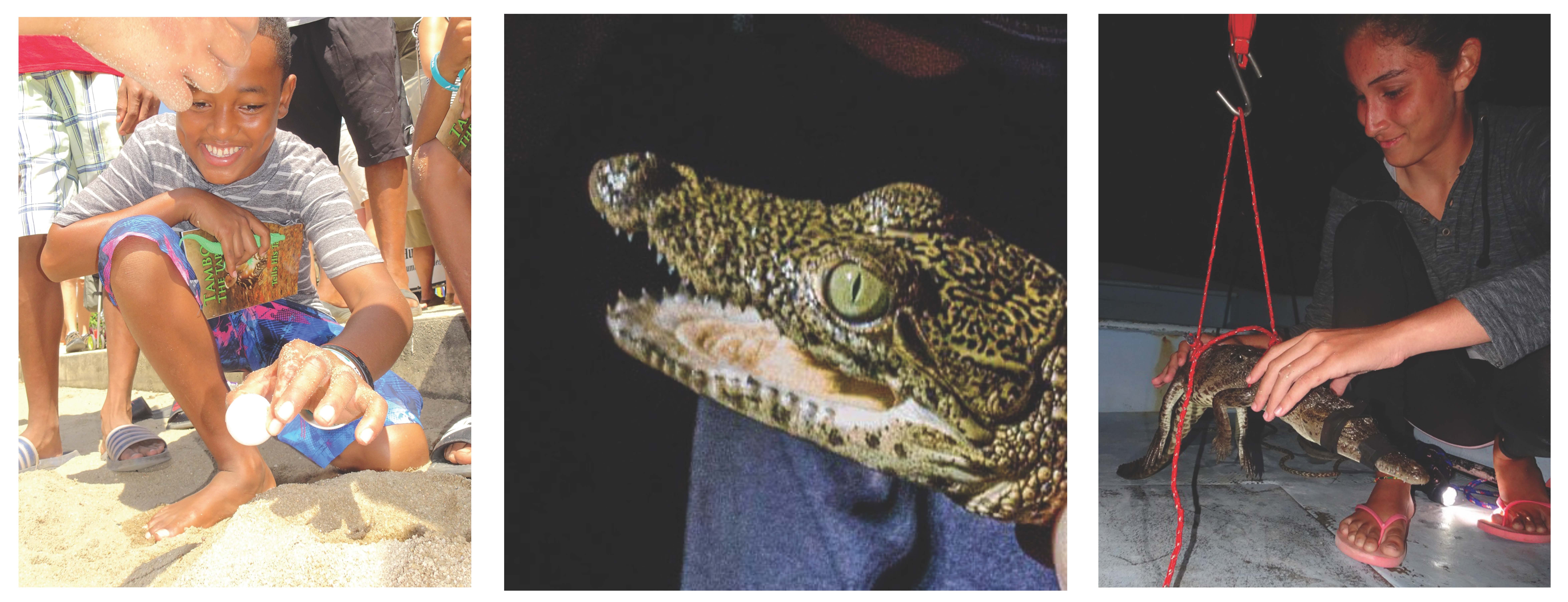 Image for Dr. Marisa Tellez: Sinking Your Teeth into Crocodi