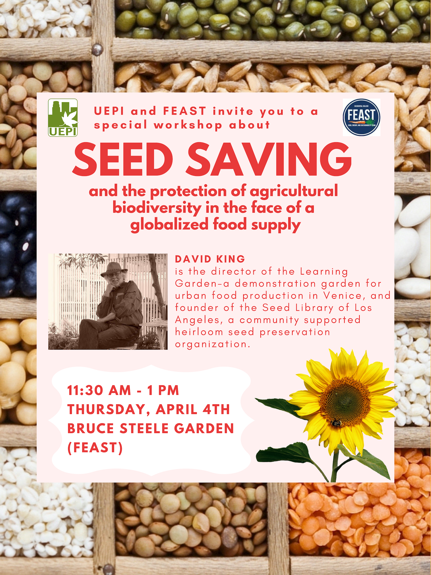 seed