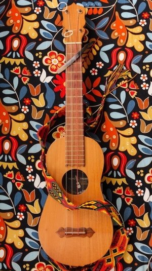 spanish guitar