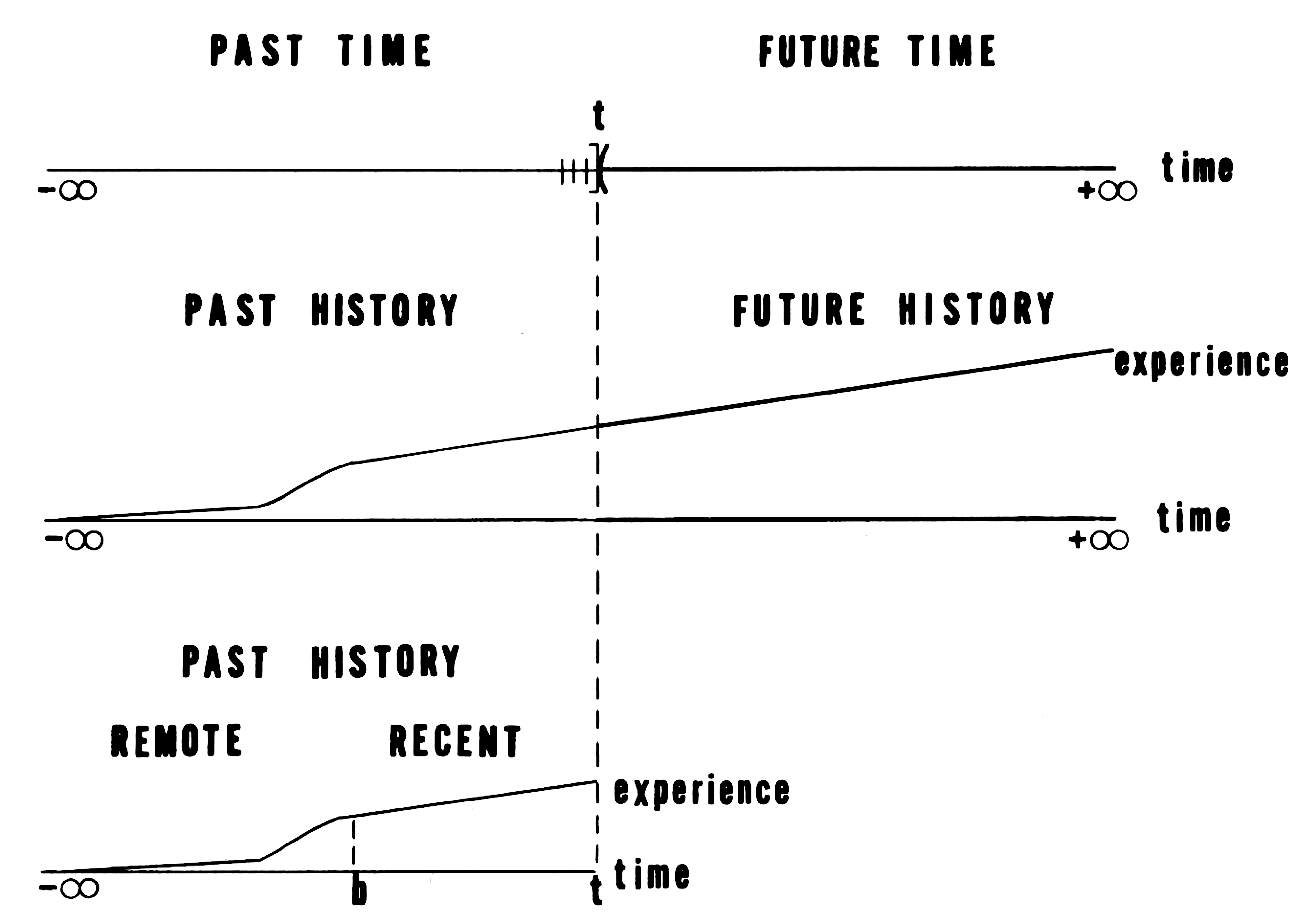 From Jan C. West (1971) Application of the Block-Wiener Mapping to a Homeostatic Learning System, Journal of Cybernetics 1:3, 64-78.