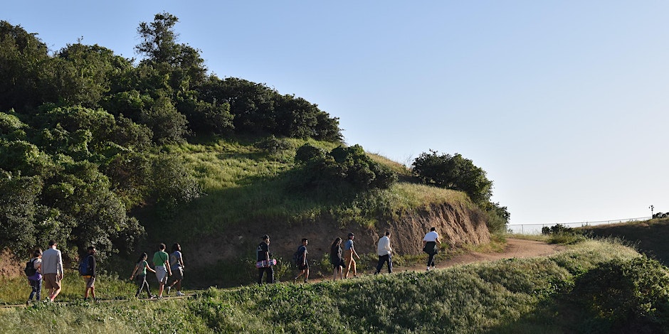 Braiding Sweetgrass Plant Walk