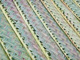 Palm weaving