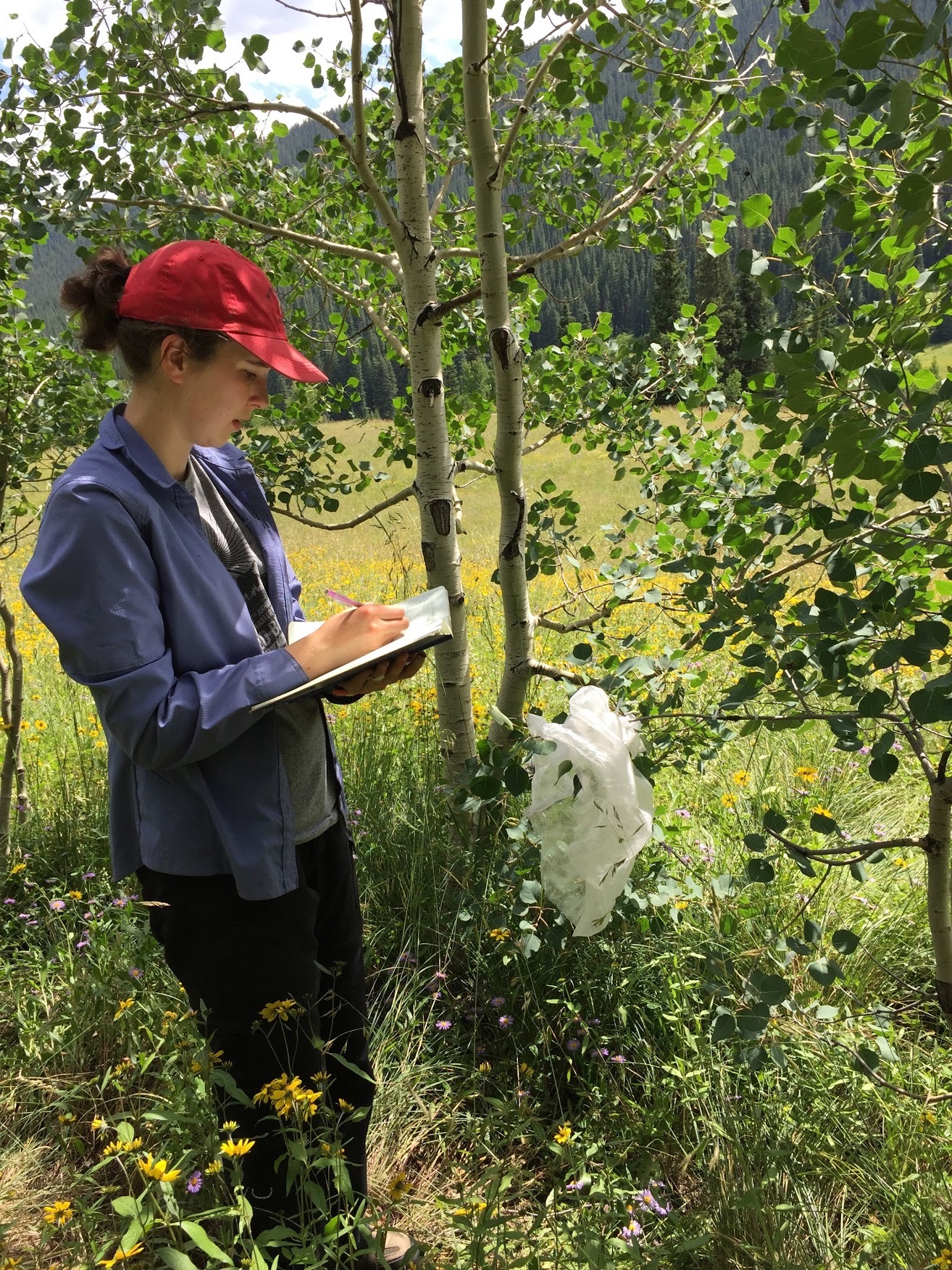 Dr. Annika Nelson writing in a notebook in front of trees and plants