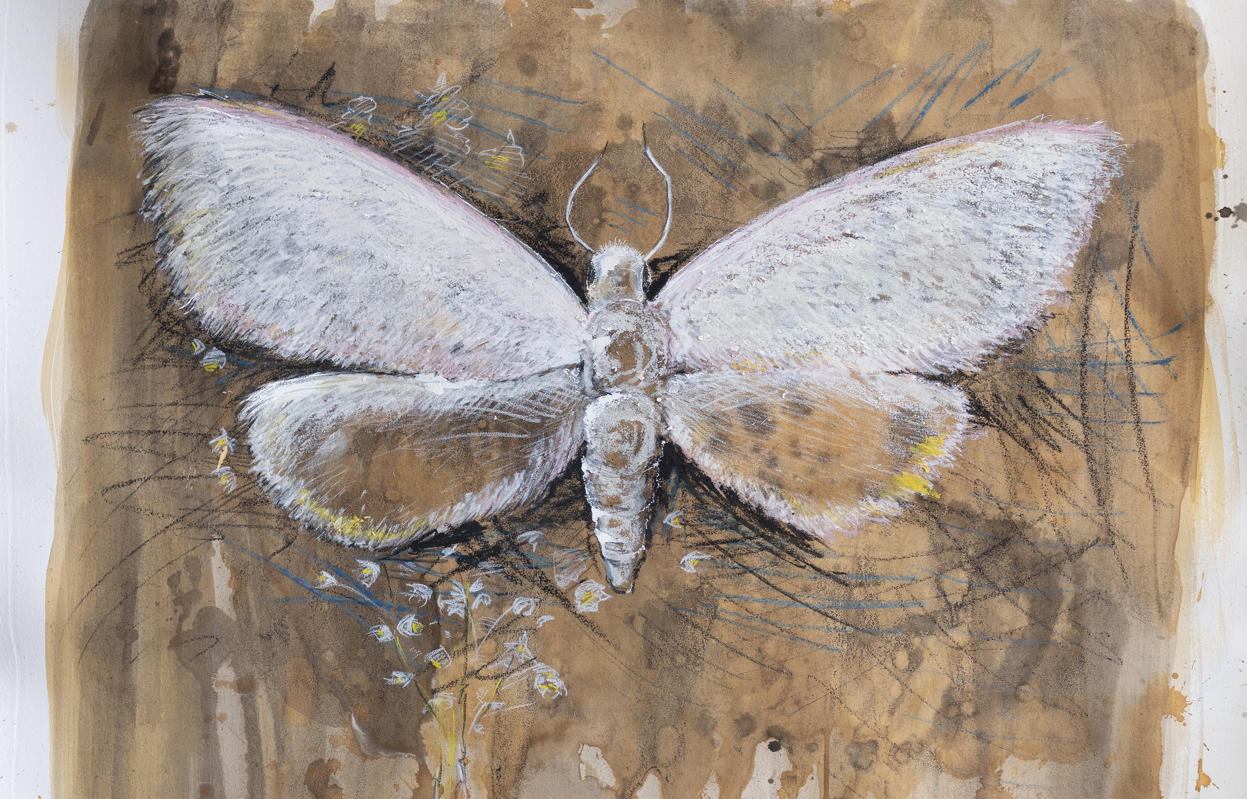 joel garcia menilys muse, 2024 copy 2.jpg detail of menilys muse, painting of white moth on brown background