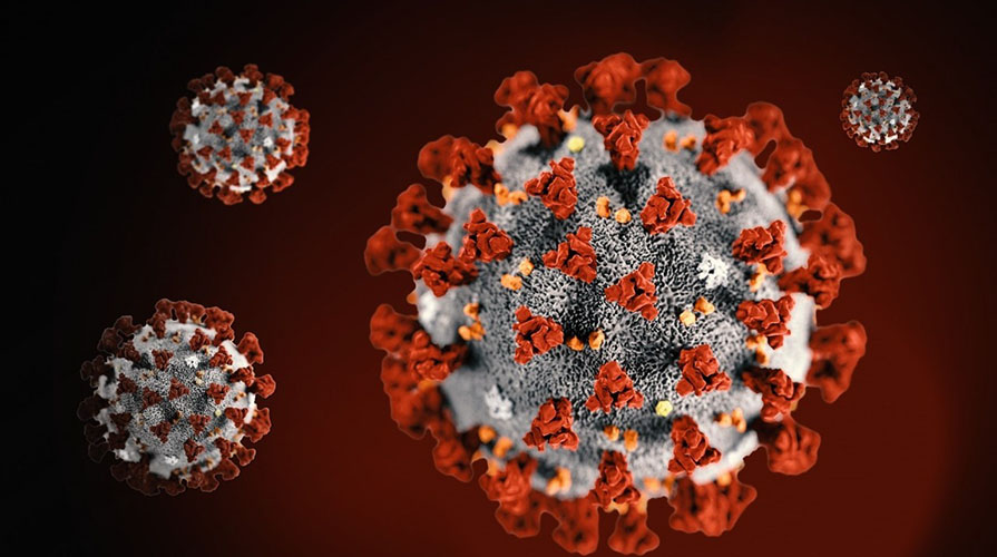 coronavirus