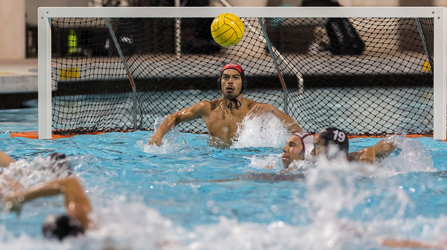 water polo players in Oxy's De Mandel pool