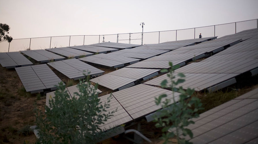 solar panels on the Oxy campus