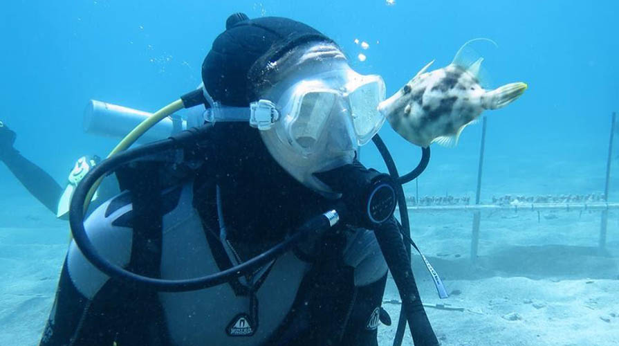 Marine biologist Ellen Goldenberg '15