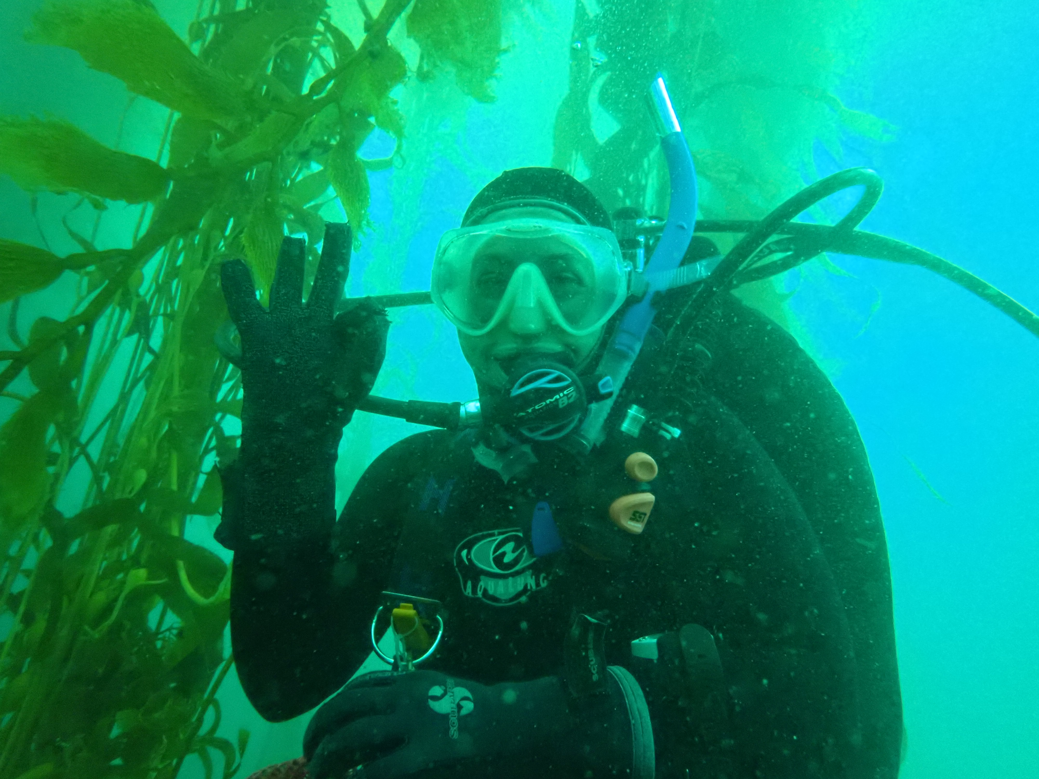 Sarah Traiger diving in kelp forest