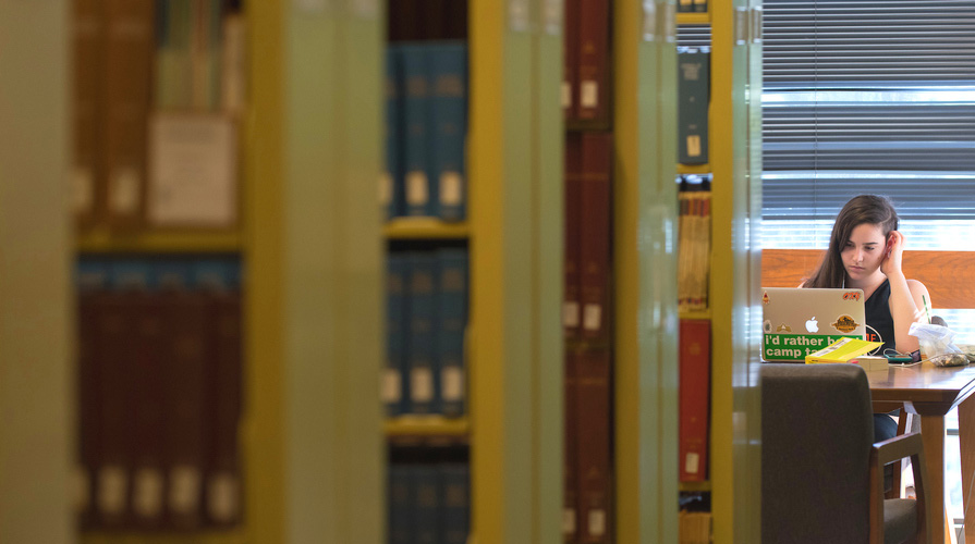 A student studies in the library