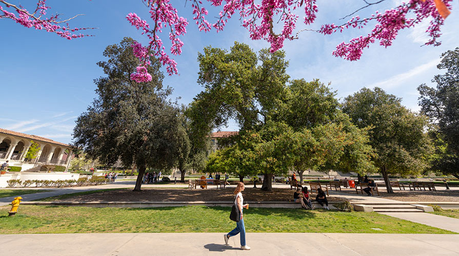 campus beauty scene