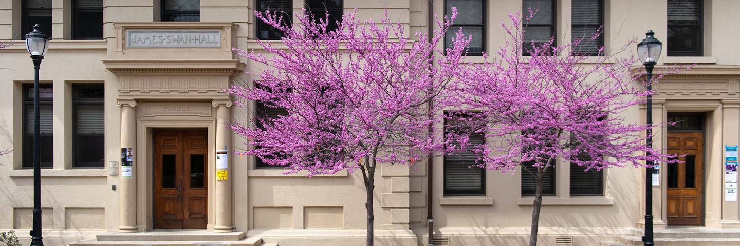 Swan Hall with flowering trees