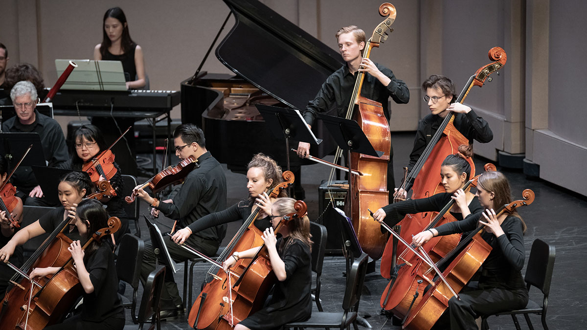 The low strings during the Fall 2019 Concert