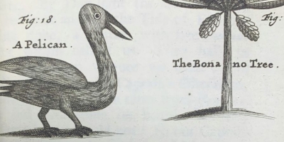 Birds & Books: Ornithology and Scientific Exploration Birds & Books: Ornithology and Scientific Exploration