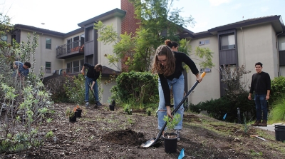 Students work in Oxy's FEAST Organic Garden