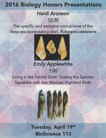 Image for 2016 Biology Honors Presentations
