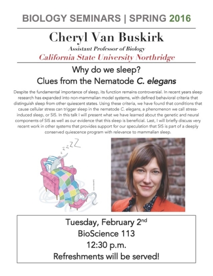 Image for Cheryl Van Buskirk: Why do we sleep? Clues from the Nematode C. elegans