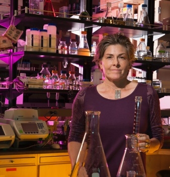 Image for Professor Goffredi: A search for some of Earth’s most extreme creatures in the West Coast's deepest underwater canyon