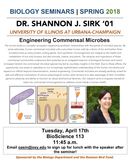 Image for Dr. Shannon J. Sirk ‘01 - Engineering Commensal Microbes