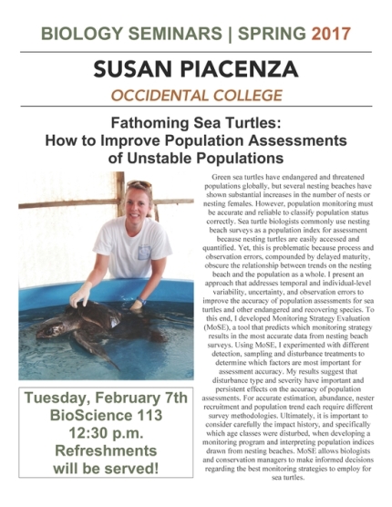 Image for Susan Piacenza - Fathoming Sea Turtles