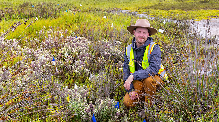 An occidental alumus keeling in a grassy, flowery field