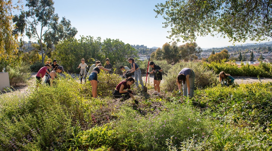 a group of students in a campus garden, working, with the sky in the background