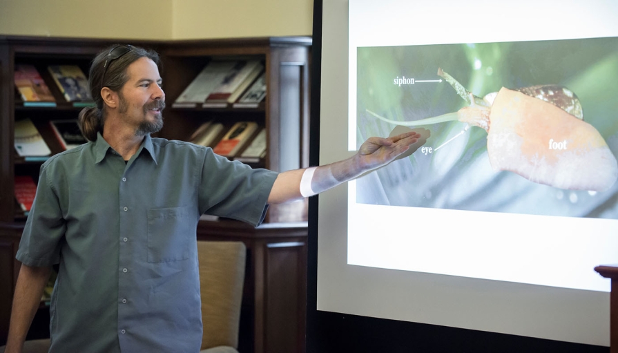 Prof. Joseph Schulz talks about cone snails, referring to a projected slide