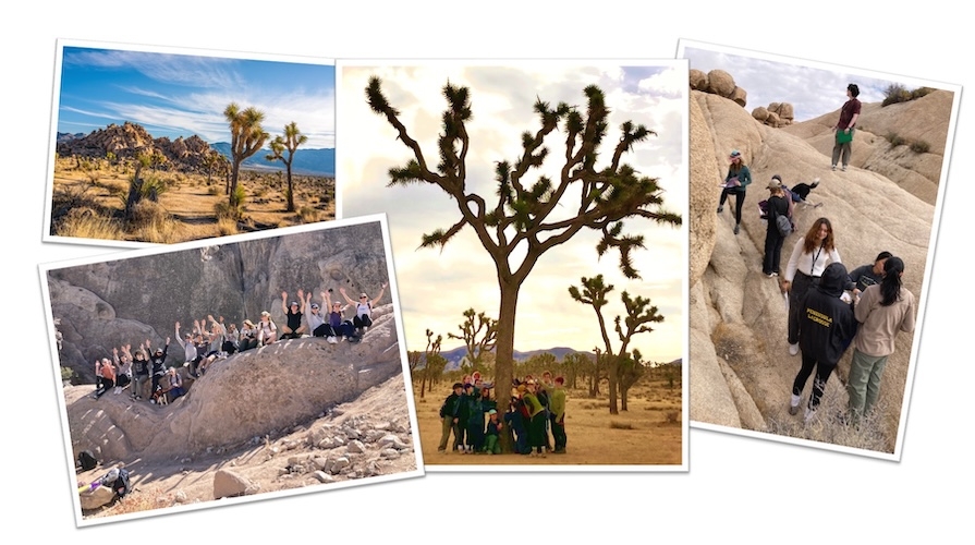 Life on the Edge Photo Collage