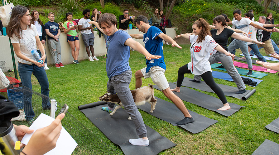 Occidental College students participate in yoga on the Los Angeles campus