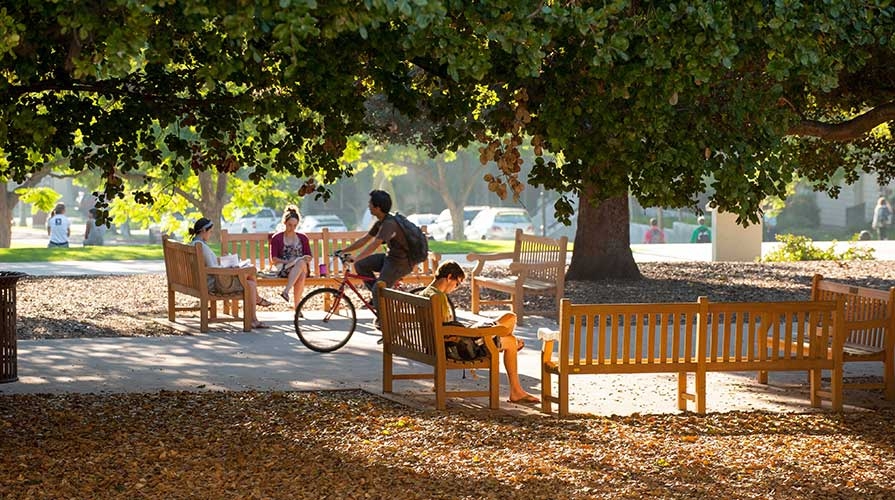 Students on the quad at Oxy