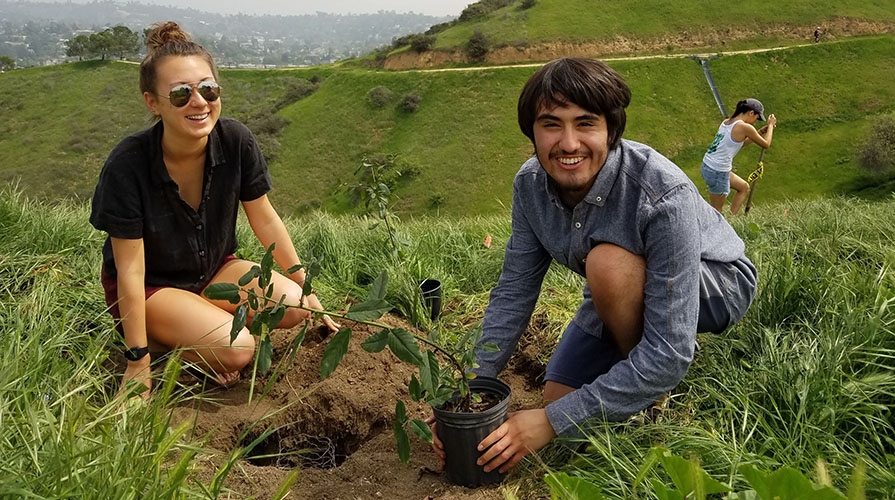 Students planting in the earth