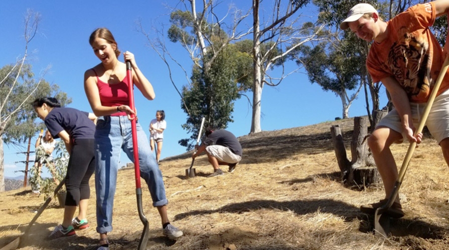 students doing environmental volunteer work