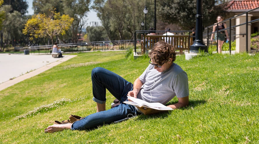 Student studying on the campus lawn