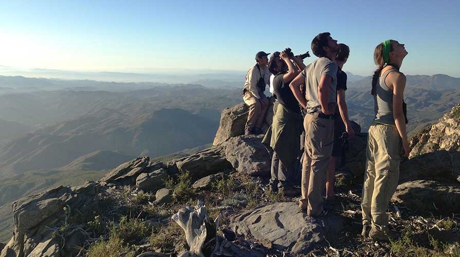 Students on a mountainside surveying the landscape
