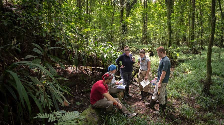 A professor and students in the field at La Selva Biological Station