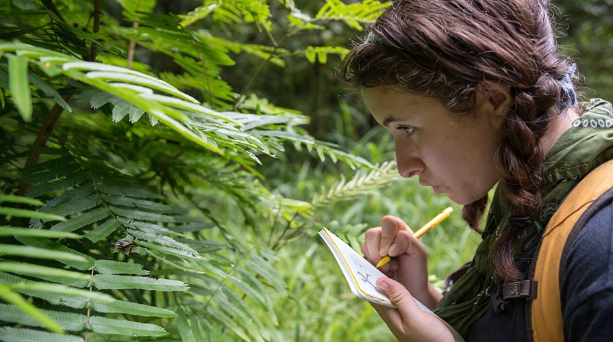 A student examines lush green ferns while writing intently in her notebook