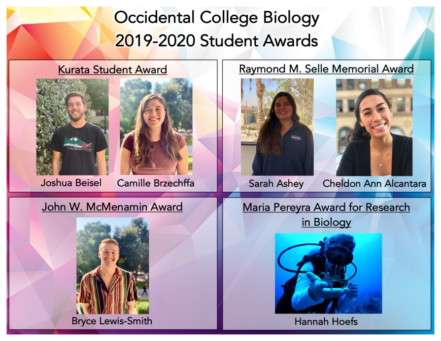 Biology student award winners: Joshua Beisel, Camille Brzechffa, Sarah Ashey, Cheldon Ann Alcantara, Bryce Lewis-Smith, Hannah Hoefs
