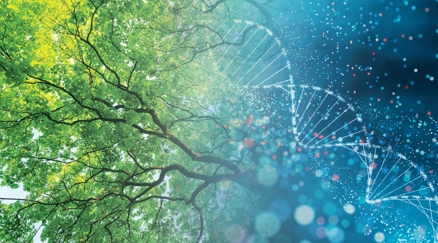 the underside of a large tree merging into an image of a DNA double helix