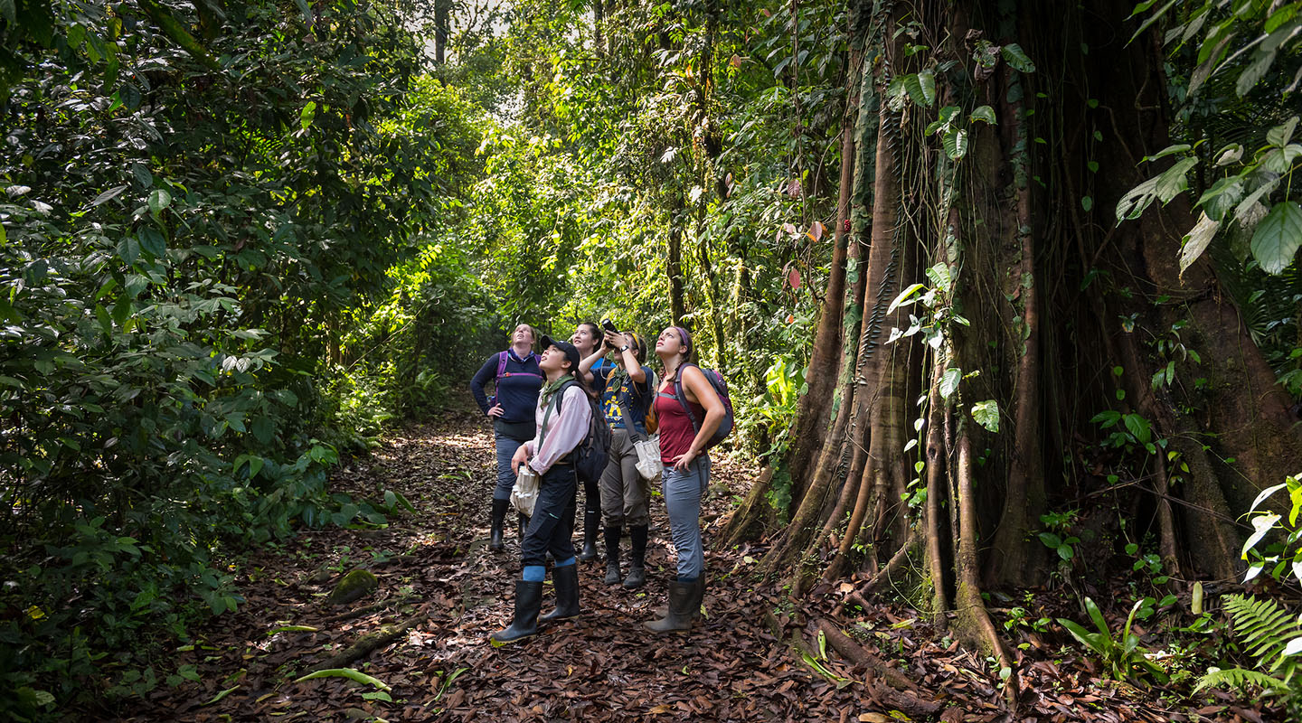 Occidental College students standing together in the jungle of Costa Rica, surveying the lush environment