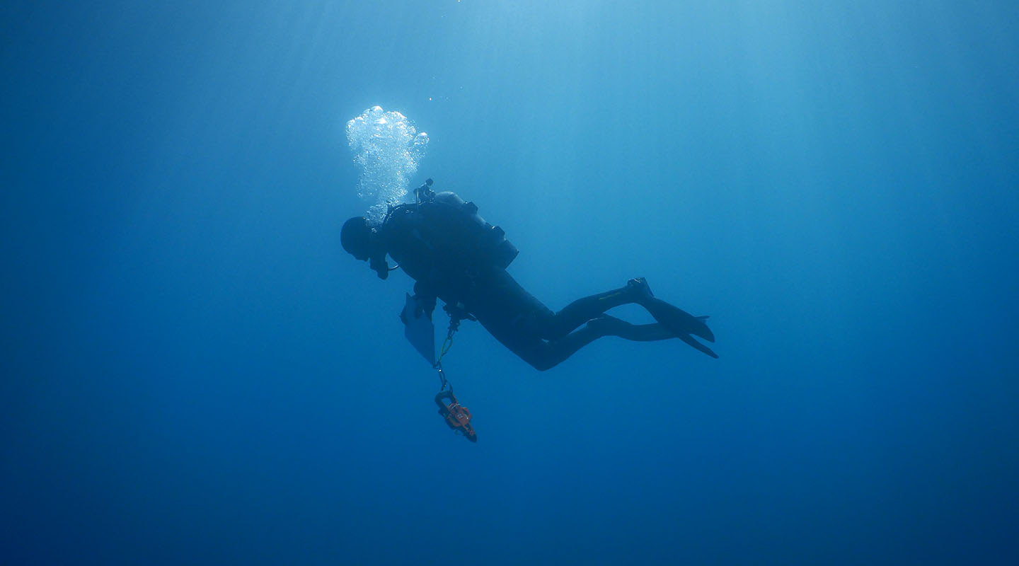 An Occidental College diver looking for marine specimens deep in the ocean